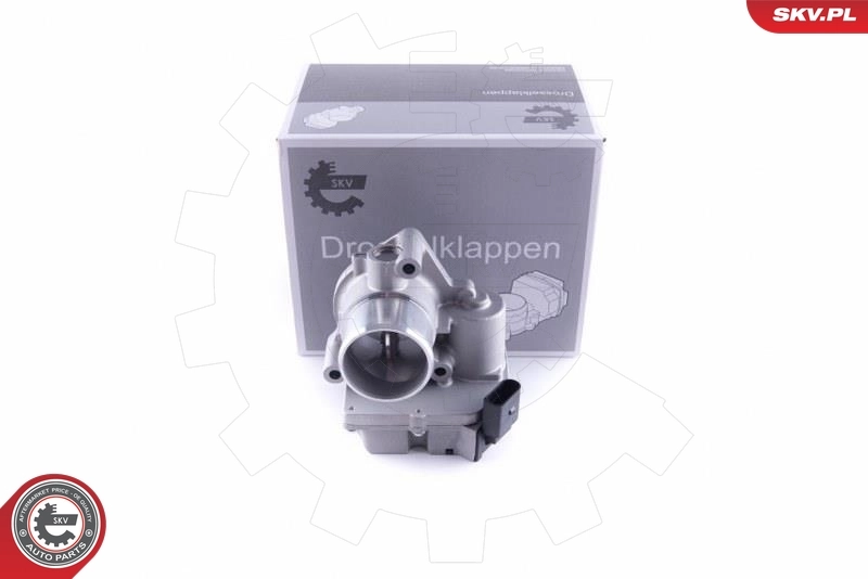 Throttle Body